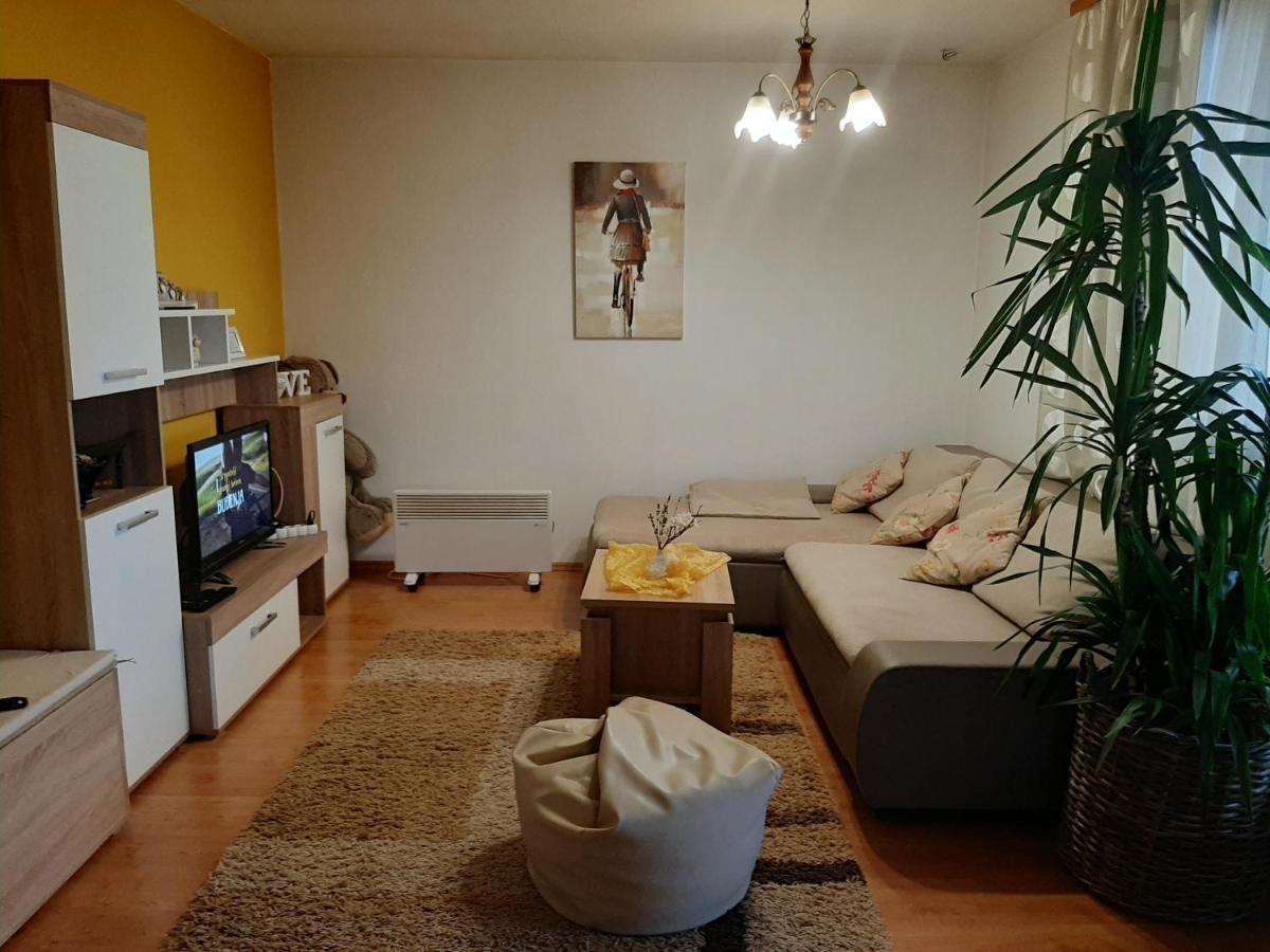Apartment Zora - Guest House Ogulin Exteriér fotografie