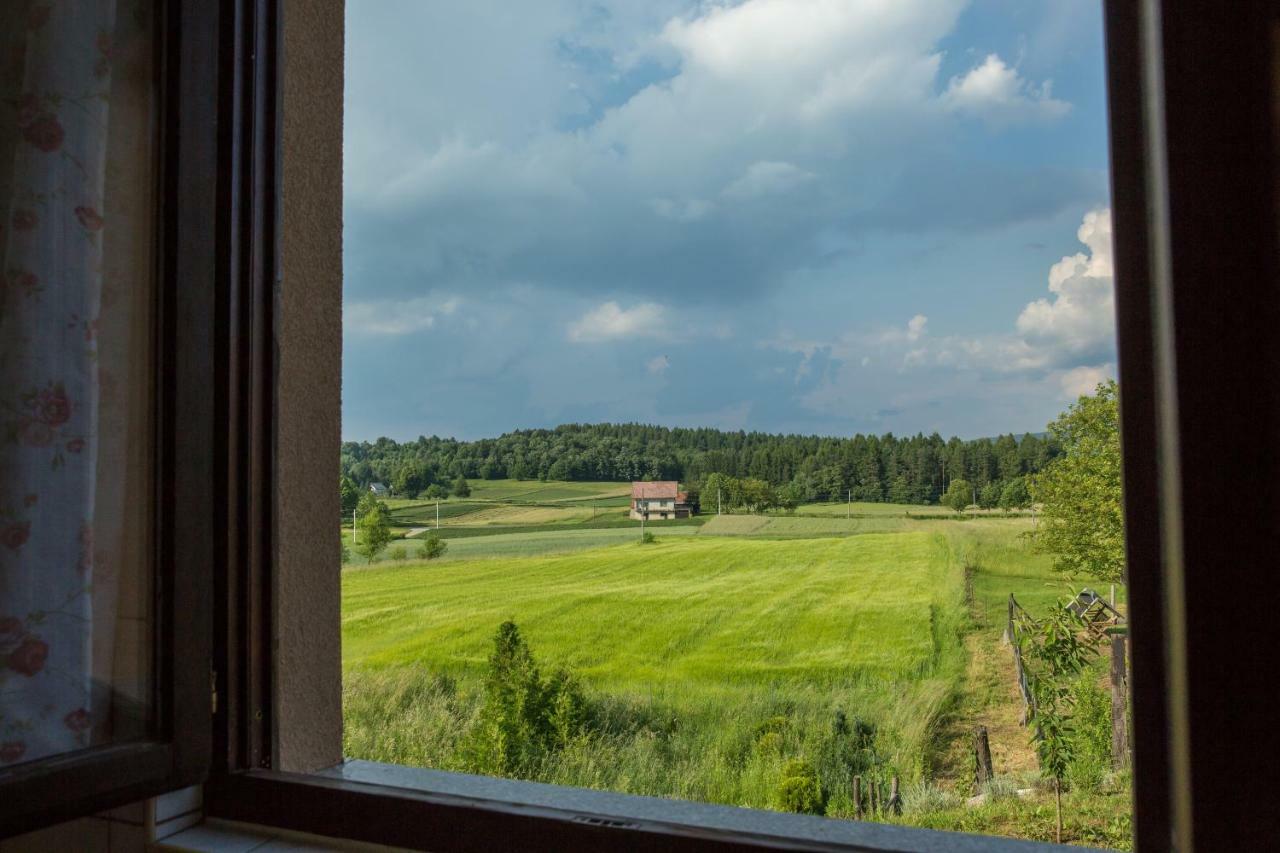 Apartment Zora - Guest House Ogulin Exteriér fotografie